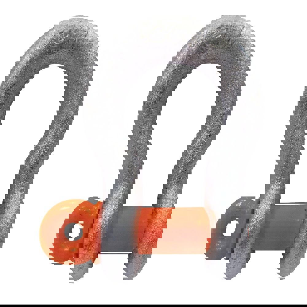 Anchor Shackle: Screw Pin