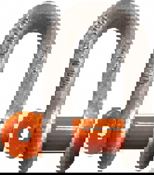 Chain Shackle: Screw Pin