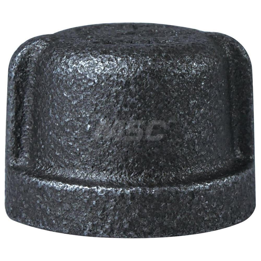 Black End Cap: 1/2