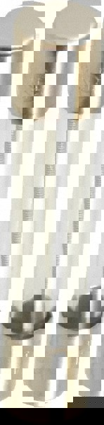 Cartridge Time Delay Fuse: 0.25 A, 1-1/4