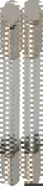 Cartridge Time Delay Fuse: 2 A, 1-1/4