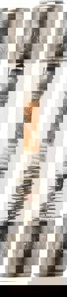 Cartridge Time Delay Fuse: 1 A, 1-1/4