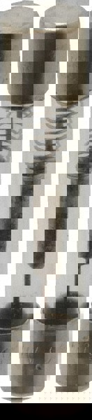 Cartridge Time Delay Fuse: 6 A, 1-1/4