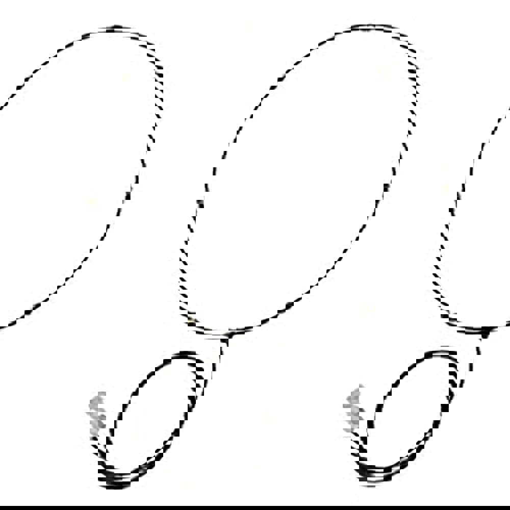 Low Pressure Misting Ring: Use with Wate