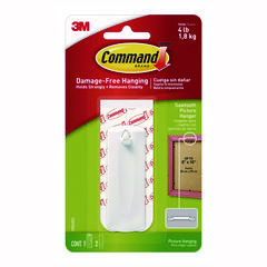 HANGER,PCTR,1HNG/2STRP