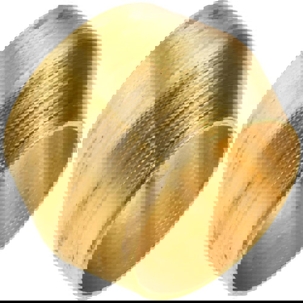 Hose-Adapters,Couplers,Connect