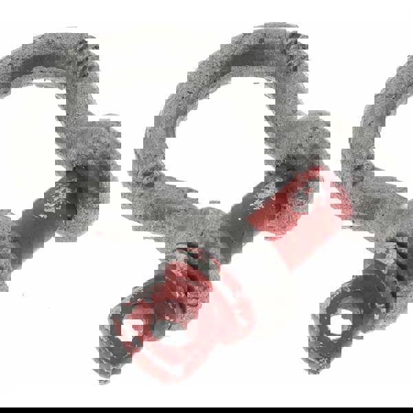 Anchor Shackle: Screw Pin