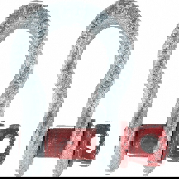 Anchor Shackle: Screw Pin