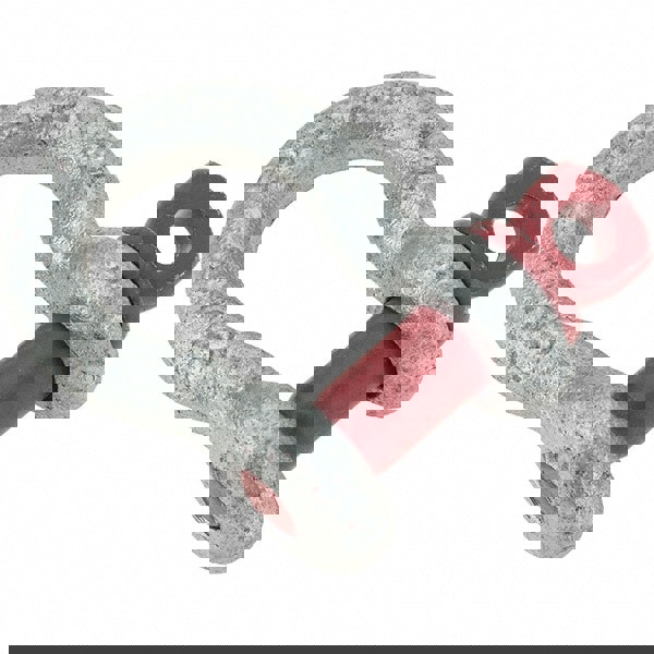 Anchor Shackle: Screw Pin