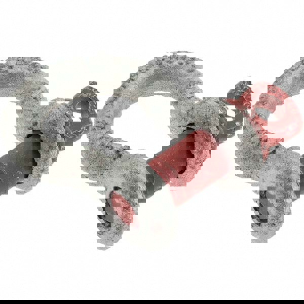 Anchor Shackle: Screw Pin