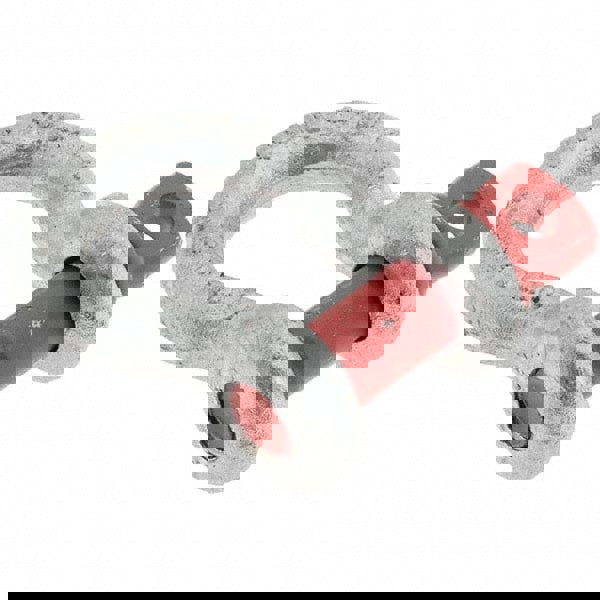 Anchor Shackle: Screw Pin