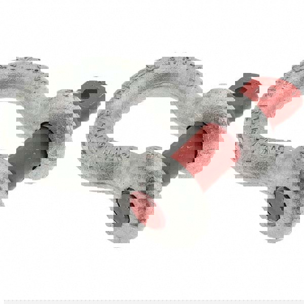 Anchor Shackle: Screw Pin