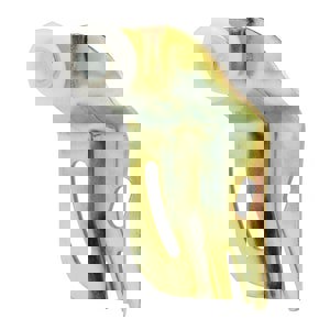 1/2 OS BRKT BCK CLST DR ROLR 2 PK