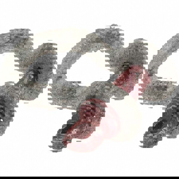 Anchor Shackle: Screw Pin