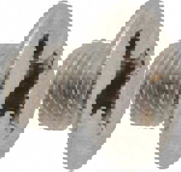 Machine Screw: Flat Head, Phillips