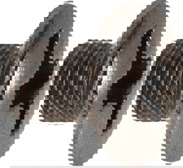 Machine Screw: Oval Head, Phillips