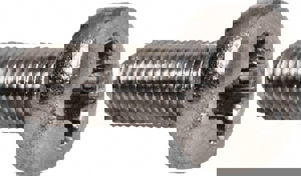 Machine Screw: M2x0.4 x 5.00 mm Length Under Head, Pan Head, Phillips