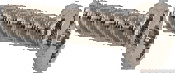 Machine Screw: M2x0.4 x 8.00 mm Length Under Head, Pan Head, Phillips