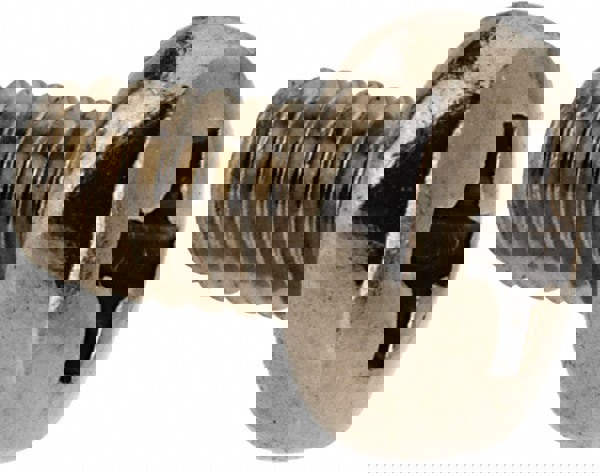 Machine Screw: Pan Head, Phillips