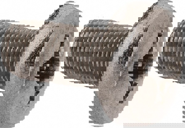 Machine Screw: M6x1 x 12.00 mm Length Under Head, Pan Head, Phillips