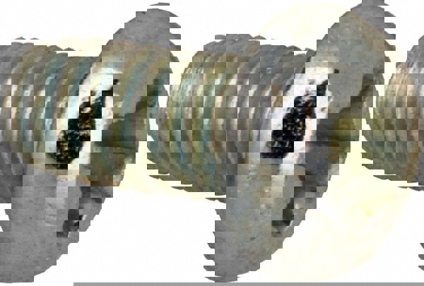 Machine Screw: #2-56 x 3/16