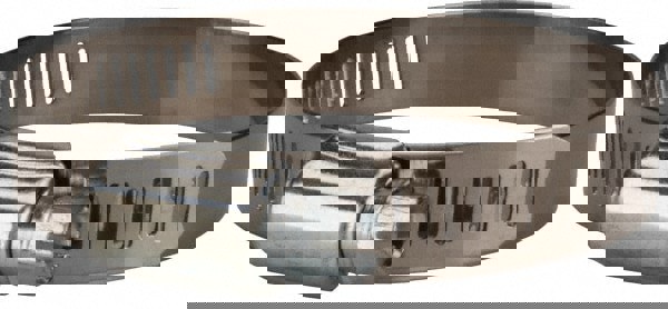 Worm Gear Clamp: SAE 40, 2 to 3