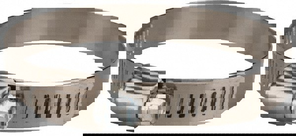 Worm Gear Clamp: SAE 48, 2-1/2 to 3-1/2