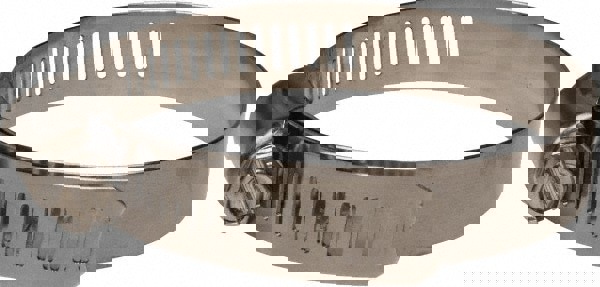 Worm Gear Clamp: SAE 40, 2 to 3