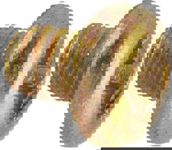 Machine Screw: #2-56 x 1/8