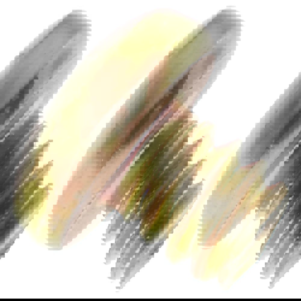 Machine Screw: #4-40 x 1/8