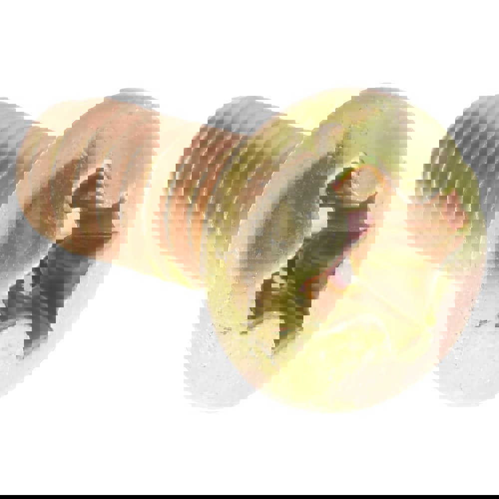 Machine Screw: #6-32 x 3/8