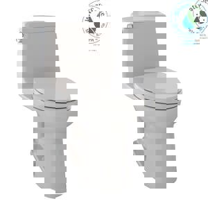 CCY 1.28 EB 1PC CLST SEBE