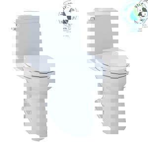 CCY 1.28 12 EB 1PC CLST COTT