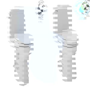 CCY 1.28 1PC HET EB CLST COTT