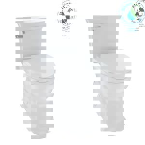 CCY 1.28 1PC CLST SANAGL COWH