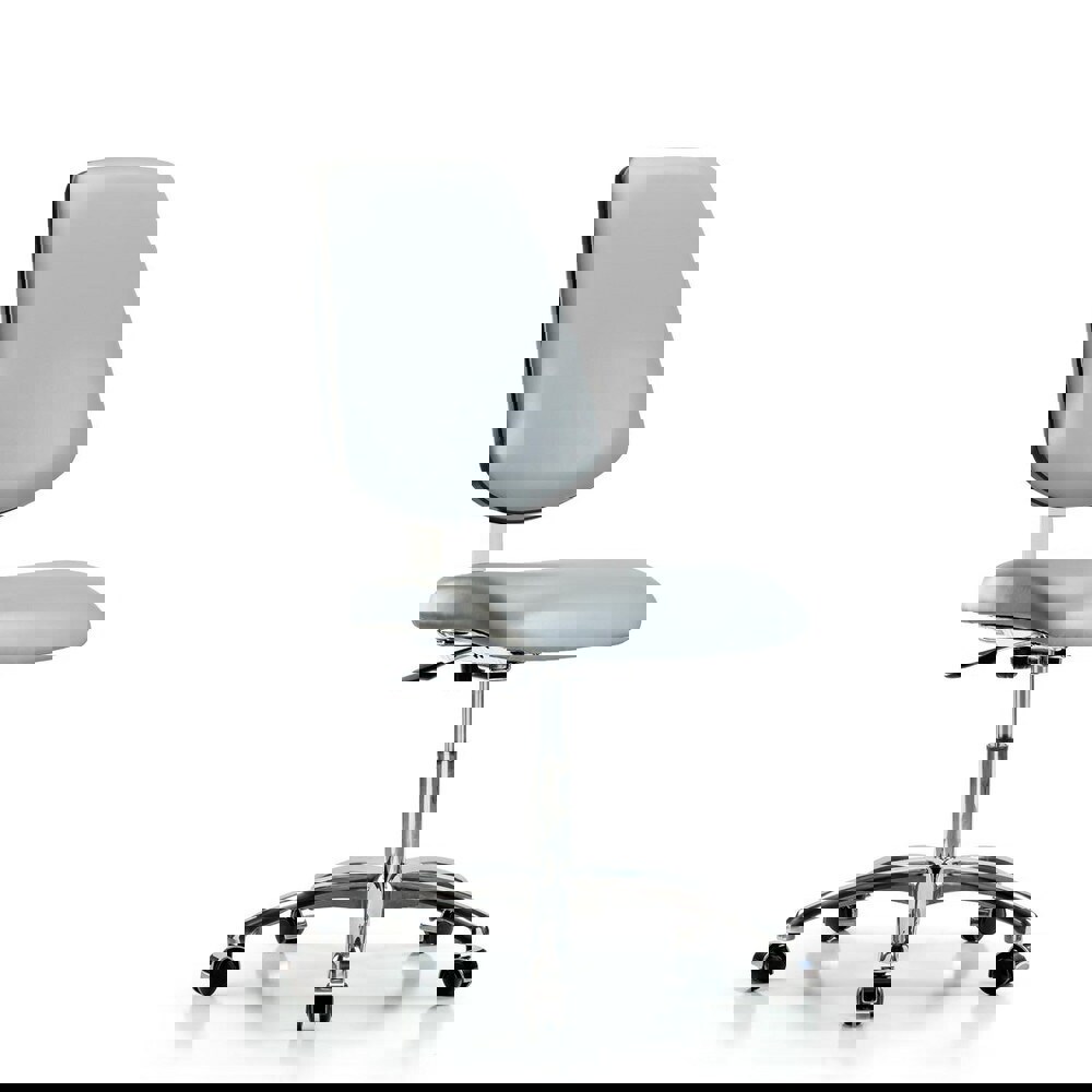 Task Chair: Vinyl, Dove