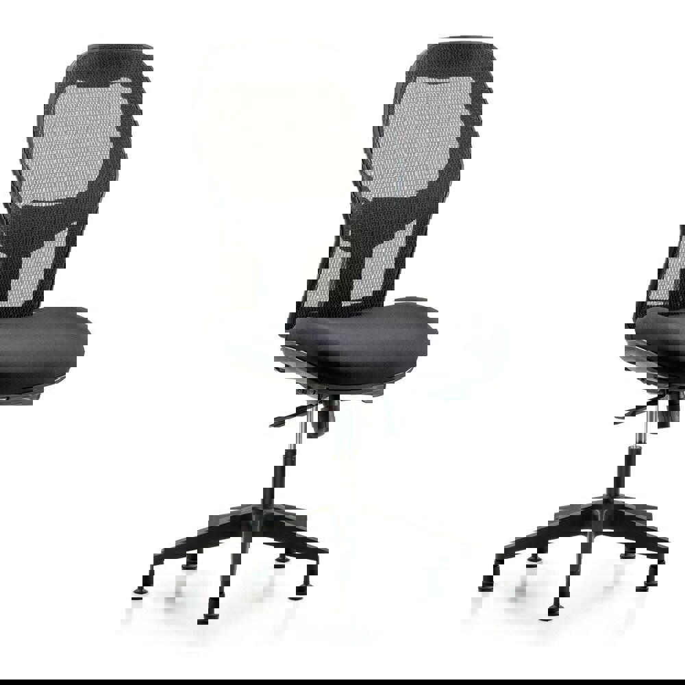 Task Chair: Mesh Fabric, Black