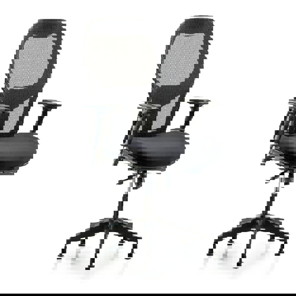 Task Chair: Mesh Fabric, Black