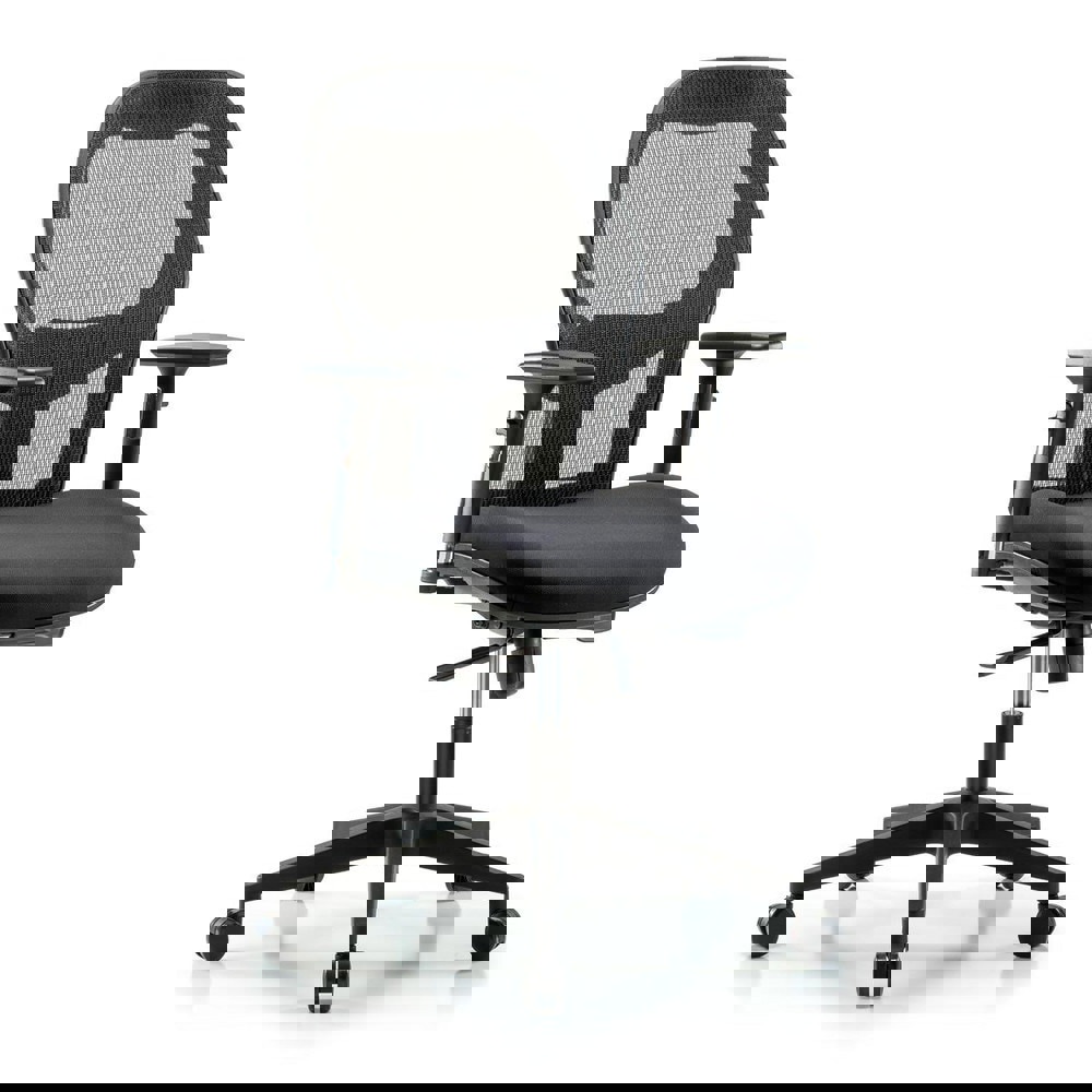 Task Chair: Mesh Fabric, Black