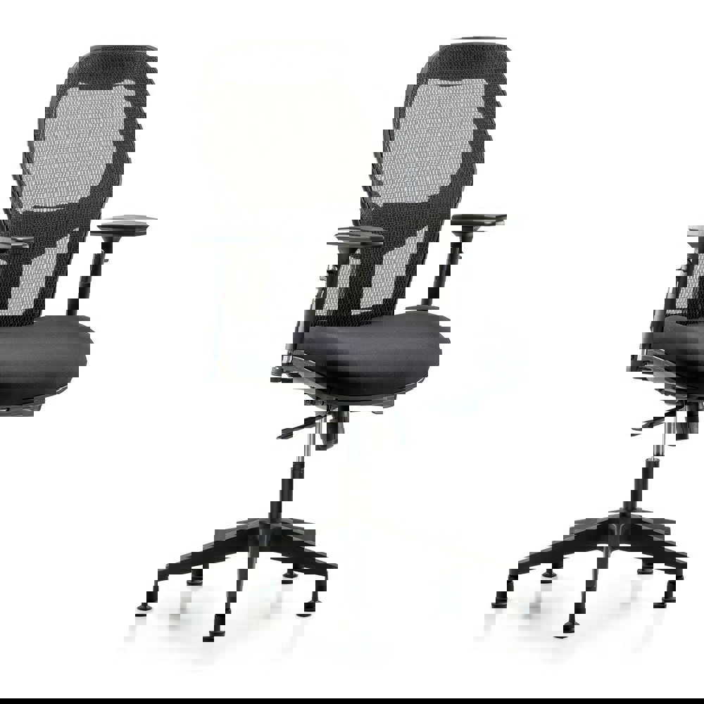 Task Chair: Mesh Fabric, Black