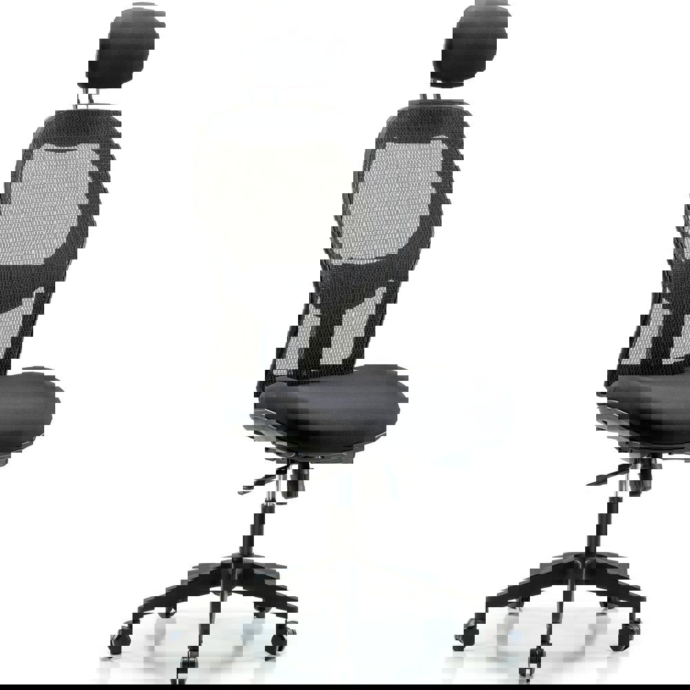 Task Chair: Mesh Fabric, Black