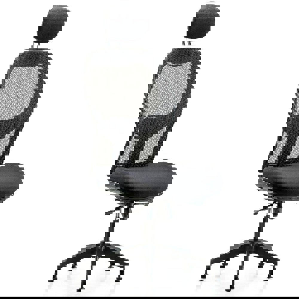 Task Chair: Mesh Fabric, Black