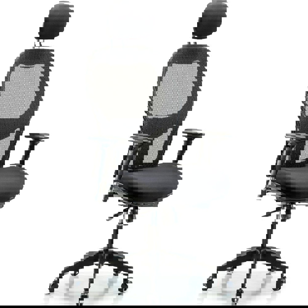 Task Chair: Mesh Fabric, Black