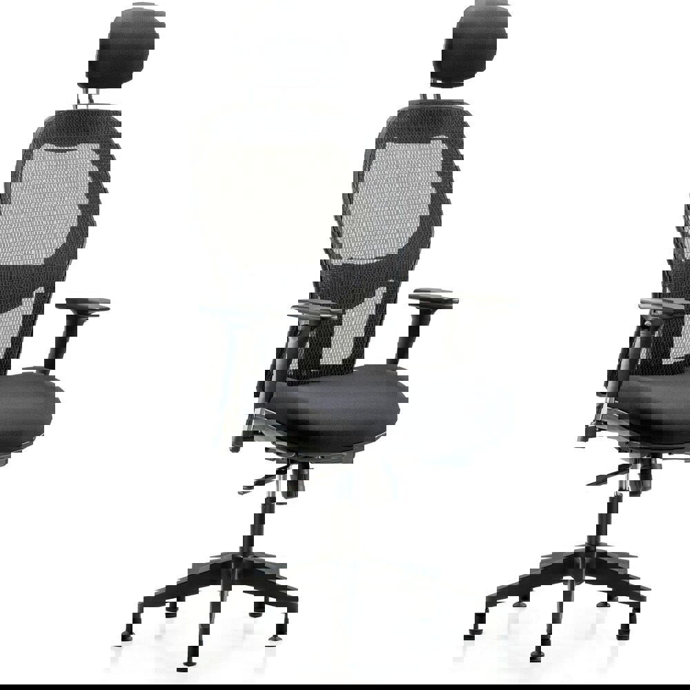 Task Chair: Mesh Fabric, Black