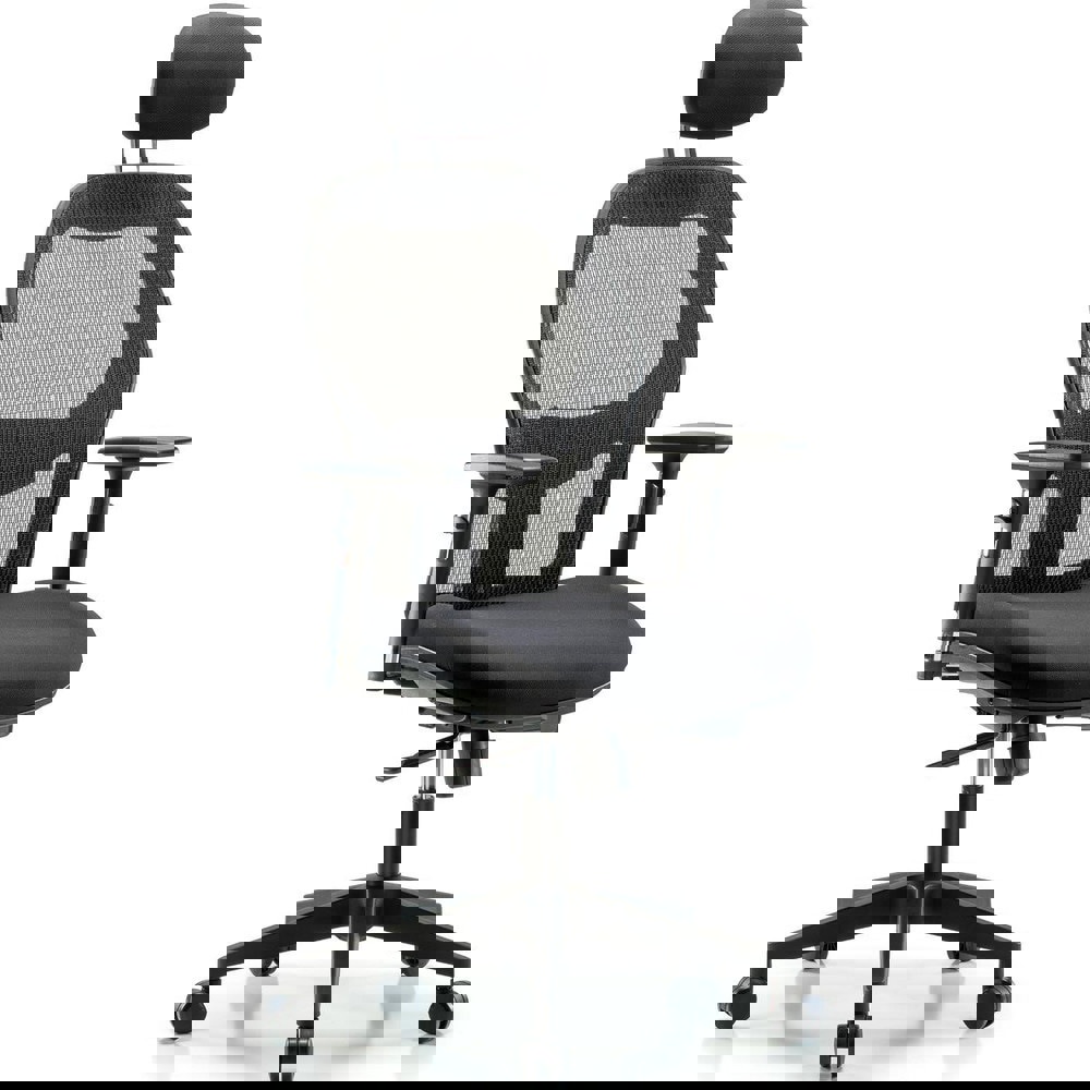 Task Chair: Mesh Fabric, Black