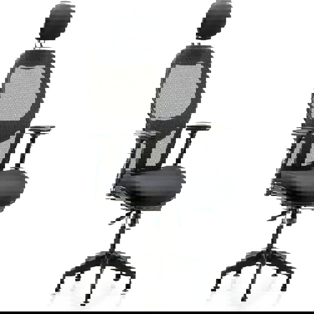 Task Chair: Mesh Fabric, Black