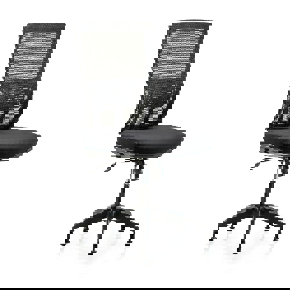 Task Chair: Mesh Fabric, Black