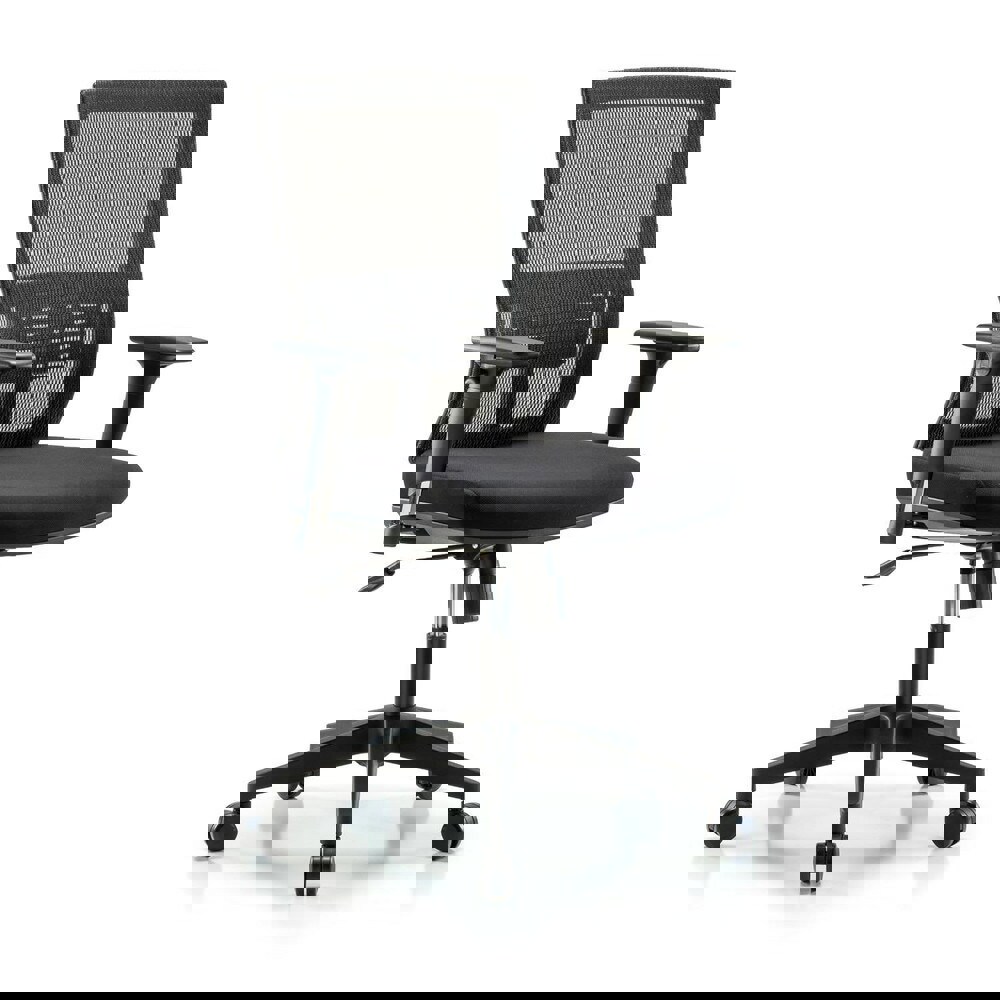 Task Chair: Mesh Fabric, Black
