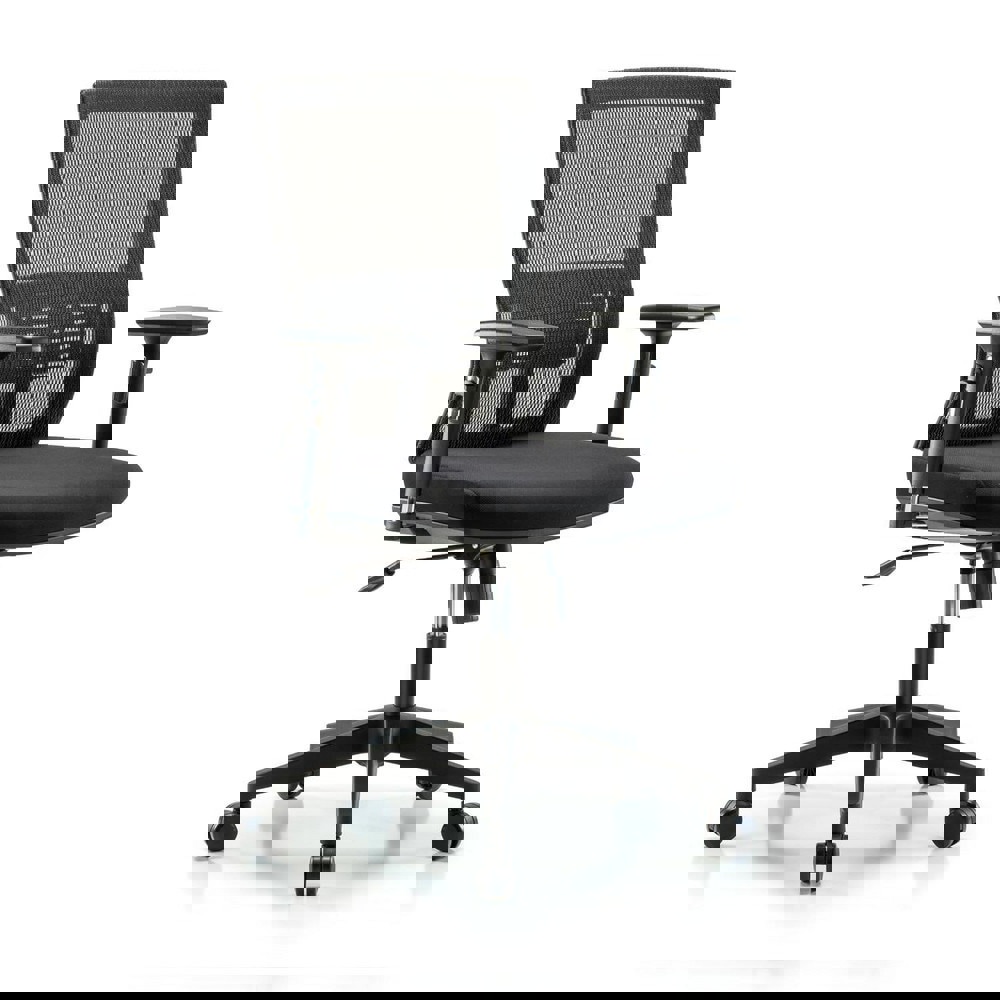 Task Chair: Mesh Fabric, Black