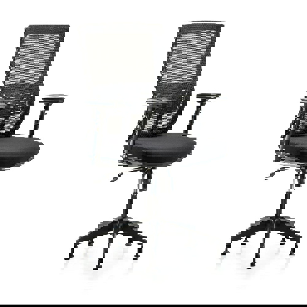 Task Chair: Mesh Fabric, Black